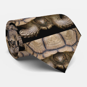 Schildkröte Krawatte