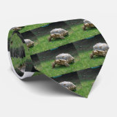 Schildkröte Krawatte (Gerollt)