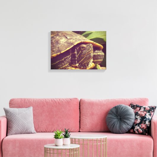 Schildkröte Leinwanddruck (Insitu (Wohnzimmer))