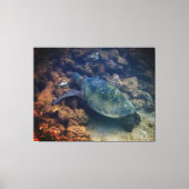 Schildkröte Leinwanddruck (Vorderseite)