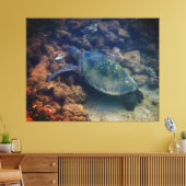 Schildkröte Leinwanddruck (Insitu (Wohnzimmer))