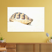 Schildkröte Leinwanddruck (Insitu (Wohnzimmer))