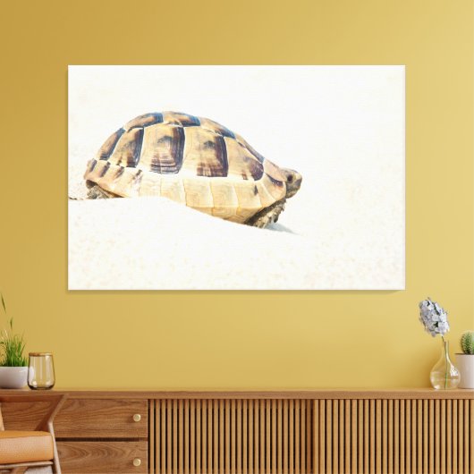 Schildkröte Leinwanddruck (Insitu (Wohnzimmer))
