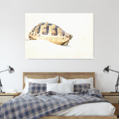 Schildkröte Leinwanddruck (Insitu (Schlafzimmer))