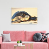 Schildkröte Leinwanddruck (Insitu (Wohnzimmer))