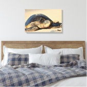 Schildkröte Leinwanddruck (Insitu (Schlafzimmer))
