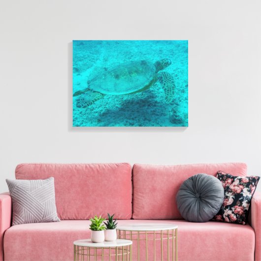 Schildkröte Leinwanddruck (Insitu (Wohnzimmer))