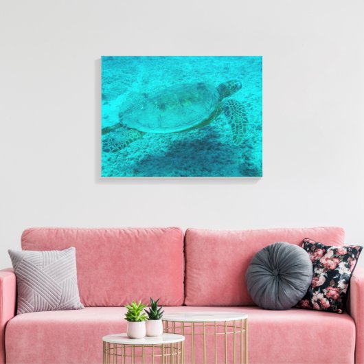 Schildkröte Leinwanddruck (Insitu (Wohnzimmer))