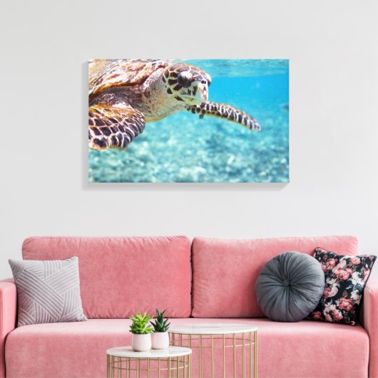 Schildkröte Leinwanddruck (Insitu (Wohnzimmer))