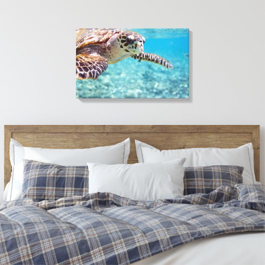 Schildkröte Leinwanddruck (Insitu (Schlafzimmer))