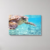 Schildkröte Leinwanddruck (Vorderseite)
