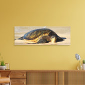 Schildkröte Leinwanddruck (Insitu (Wohnzimmer))
