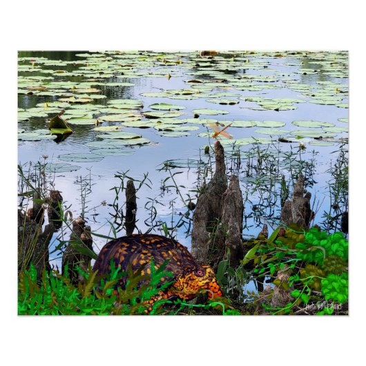 Schildkröte Libelle Pneumatophore Teich Poster (Vorderseite)