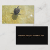 Schildkröte-Liebhaber-Visitenkarte Visitenkarte (Vorne/Hinten)