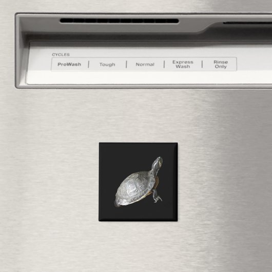 Schildkröte Magnet (In Situ (Geschirrspüler))