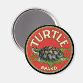 Schildkröte Magnet (Vorderseite/Rückseite)