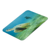 Schildkröte Magnet (Linke Seite)