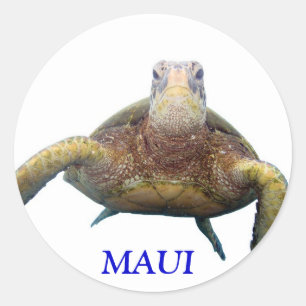 Schildkröte, MAUI Runder Aufkleber
