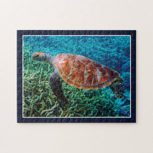Schildkröte Meer Kreatur Ozean Wildleben Puzzle