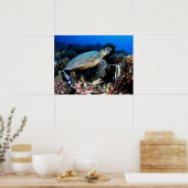 Schildkröte mit Fischplakat Poster (Küche)