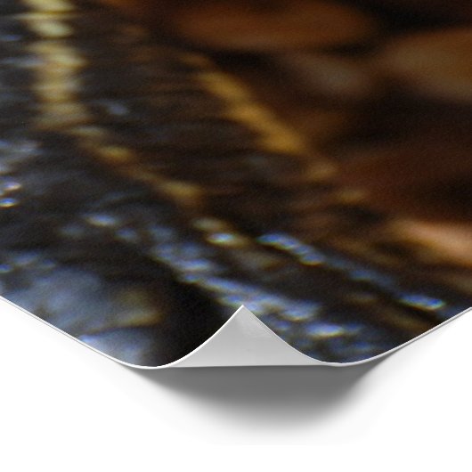 Schildkröte mit Mouth Open Poster (Ecke)