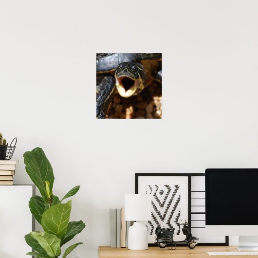 Schildkröte mit Mouth Open Poster (Heimbüro)