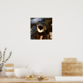 Schildkröte mit Mouth Open Poster (Küche)