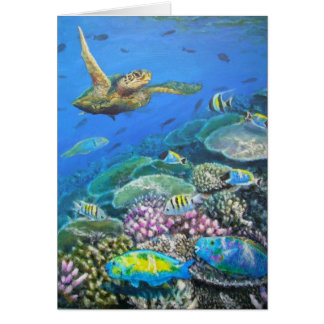 Schildkröte mit Papageienfisch