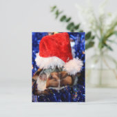 Schildkröte mit Razorunterlage, Weihnachtsmannmütz Feiertagspostkarte (Stehend Vorderseite)