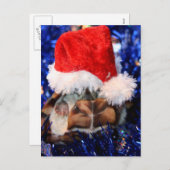 Schildkröte mit Razorunterlage, Weihnachtsmannmütz Feiertagspostkarte (Vorne/Hinten)