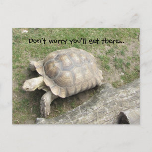 Schildkröte mit Spruch Postkarte