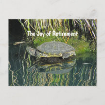 Schildkröte mit Wasserreflektion