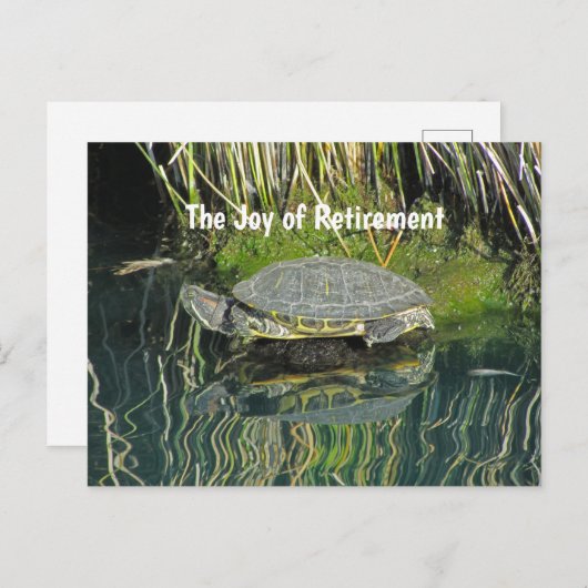 Schildkröte mit Wasserreflektion Postkarte (Vorne/Hinten)