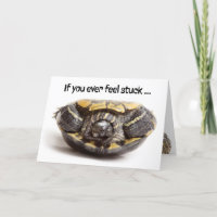 Schildkröte mit Zähne auf der Rücken Ermutigung fe