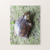 Schildkröte - moosiger Weg Puzzle (Vertikal)