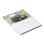 Schildkröte - Mossy Path Notizblock (angewinkelt)