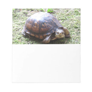 Schildkröte - Mossy Path Notizblock