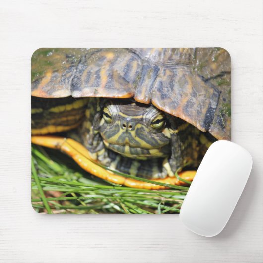 Schildkröte Mousepad (Mit Mouse)
