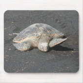 Schildkröte Mousepad (Vorne)