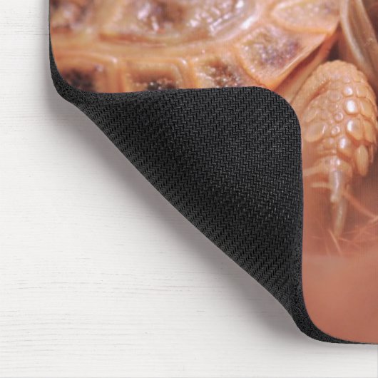Schildkröte Mousepad (Ecke)