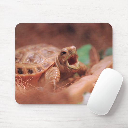 Schildkröte Mousepad (Mit Mouse)