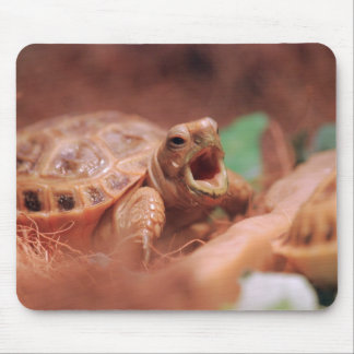 Schildkröte Mousepad