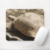 Schildkröte Mousepad (Mit Mouse)