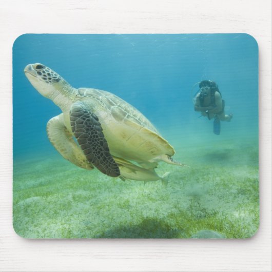 Schildkröte Mousepad (Vorne)