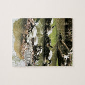 Schildkröte-Netz Puzzle (Horizontal)