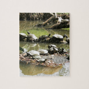 Schildkröte-Netz Puzzle