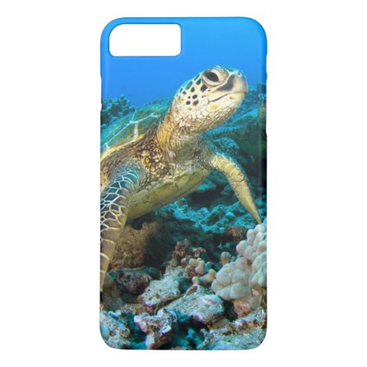 Schildkröte-Paare Case-Mate iPhone Hülle (Rückseite)