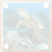 Schildkröte-Paare Glasuntersetzer (Rückseite)