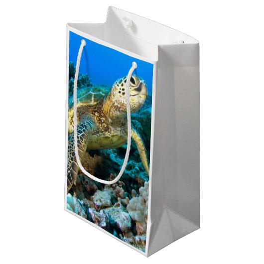 Schildkröte-Paare Kleine Geschenktüte (Vorderseite Schrägansicht)