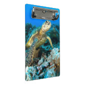 Schildkröte-Paare Mini Klemmbrett (Schrägansicht)